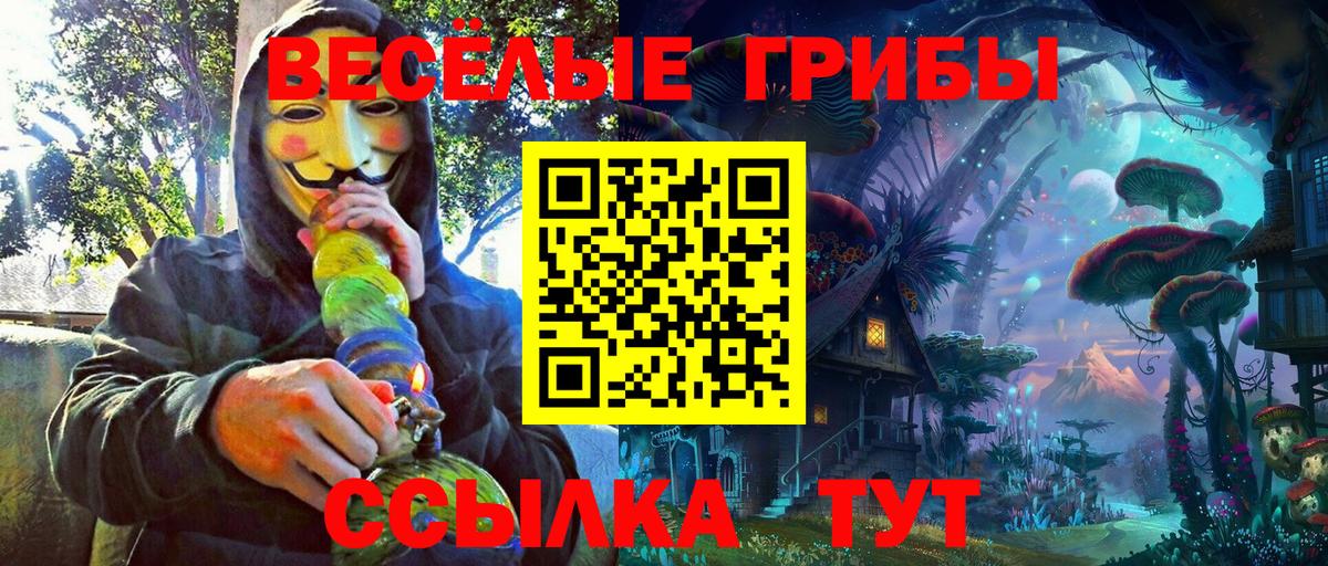 Псилоцибиновые грибы GOLDEN TEACHER  Вход с VPN  Кинель 
